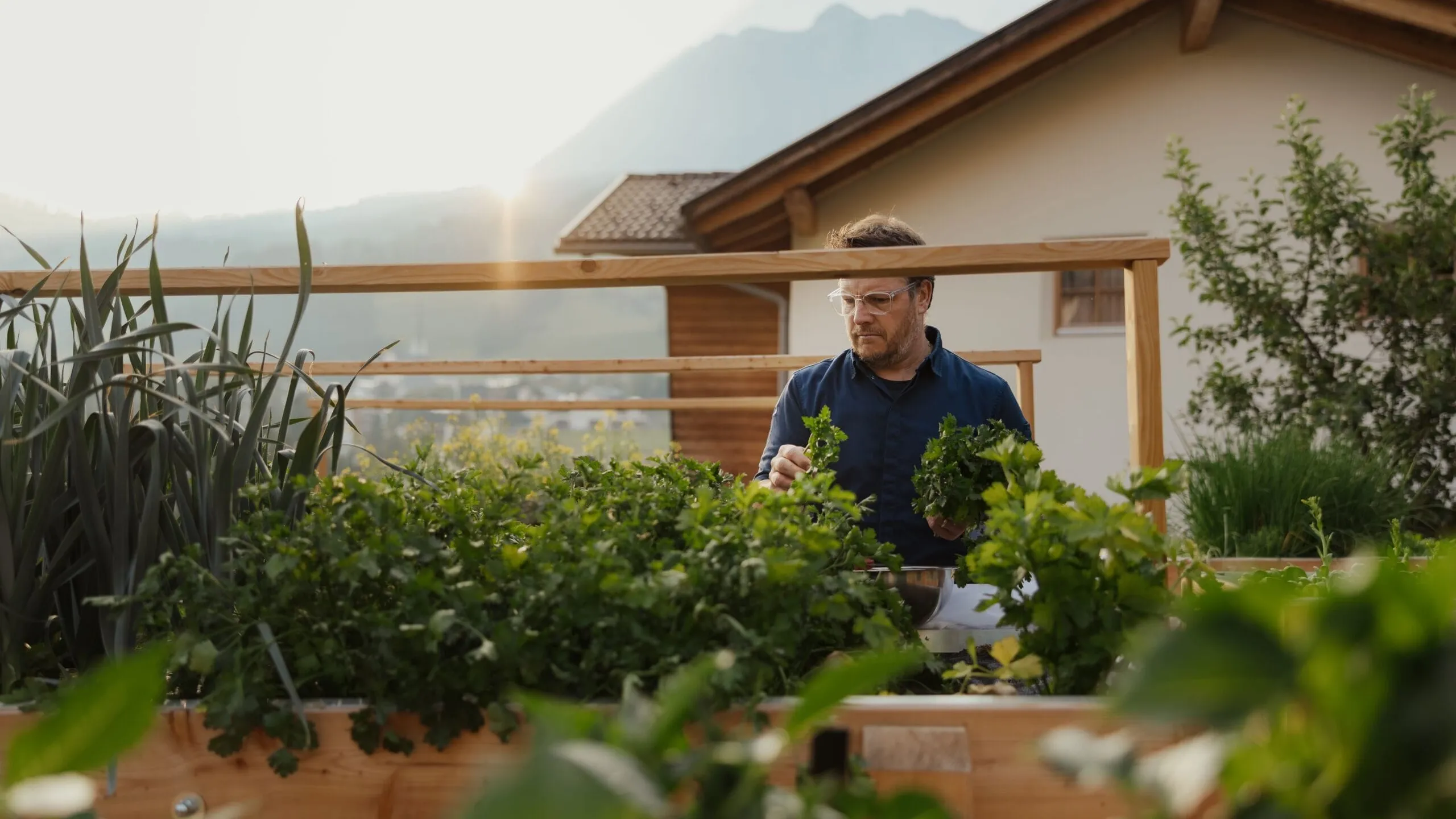 Person in a blue shirt and safety glasses tending herbs in a wooden raised garden bed, with alpine house and Dolomites in the background.
