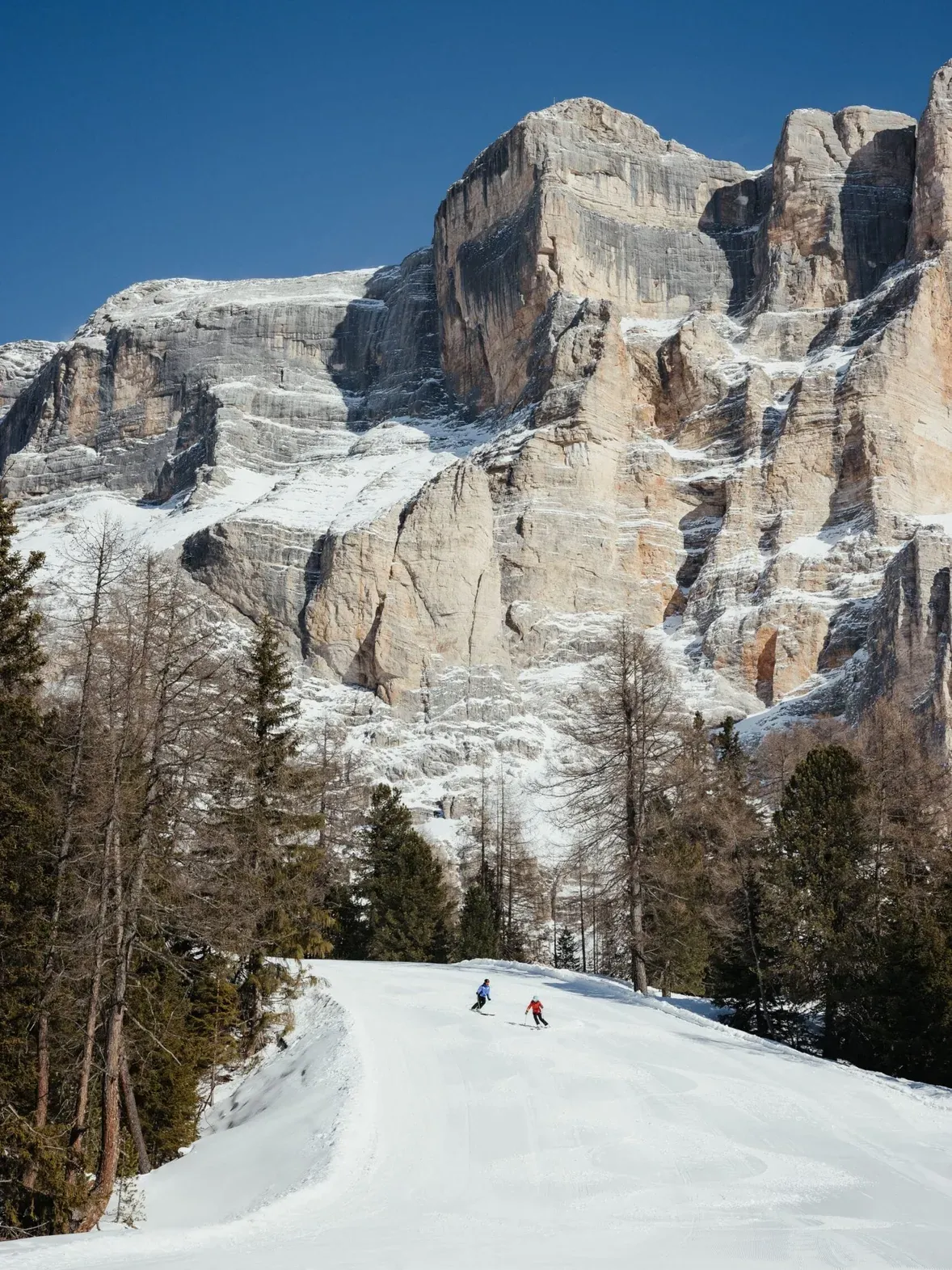 Due persone che sciano lungo una pista innevata tra alberi, con una maestosa parete rocciosa delle Dolomiti sullo sfondo e cielo azzurro.