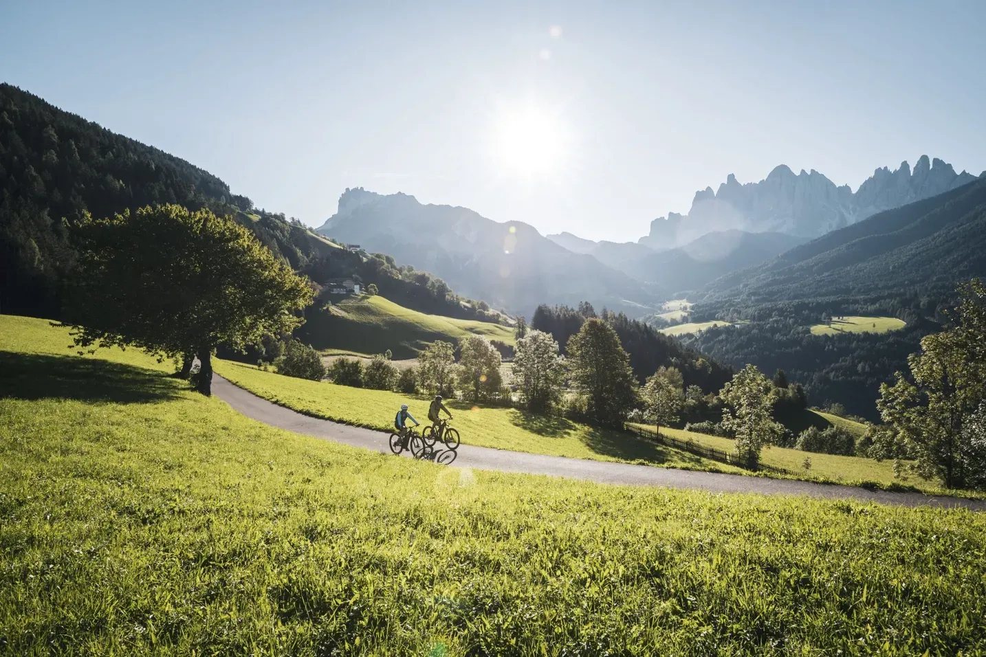 Two cyclists ride along a winding road through a sunlit Alta Badia Dolomites valley, with green meadows, a large tree, and distant mountains.