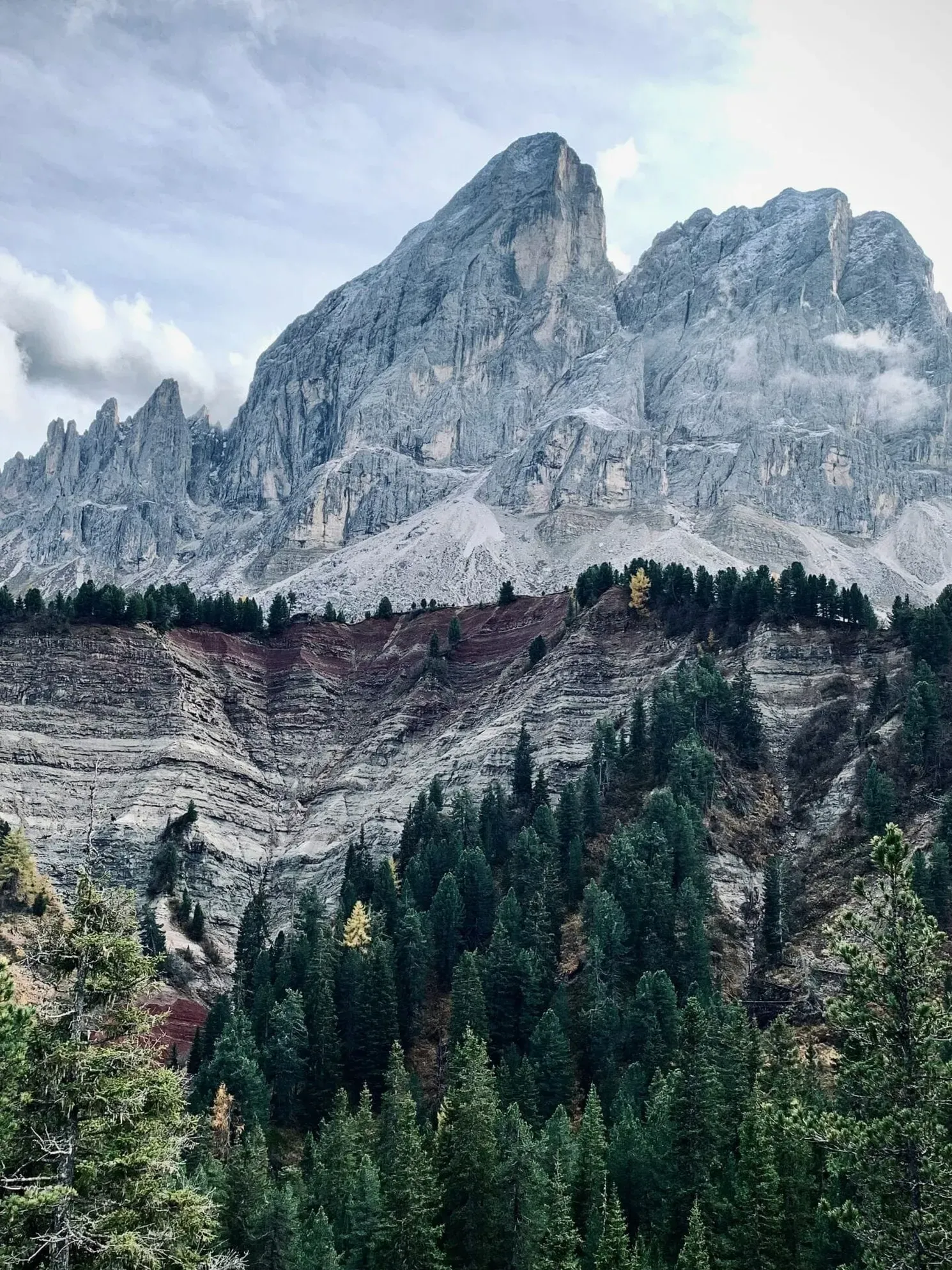 Jagged Dolomites peak above layered ridges, with a dense evergreen forest at the base and a blue sky with wispy clouds.