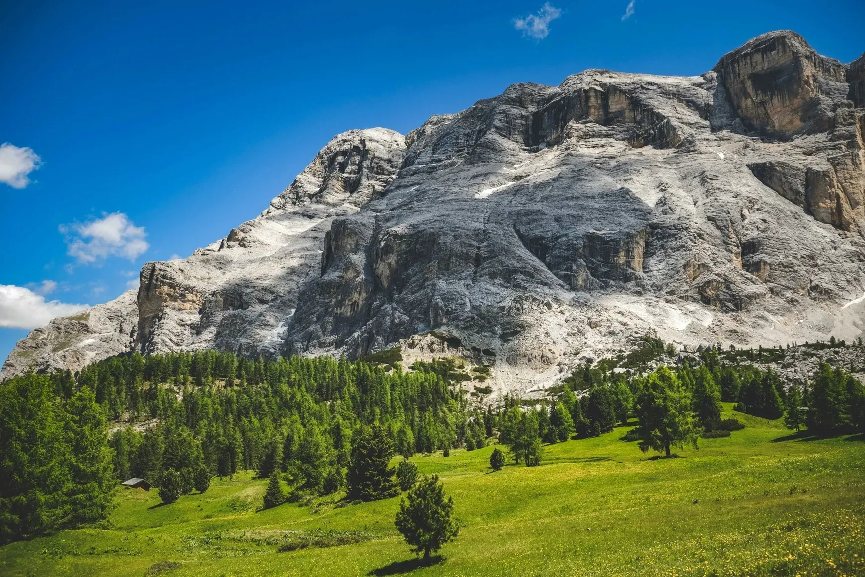 Towering jagged mountain in the Dolomites rises over a green meadow dotted with pine trees, under a bright blue sky in Alta Badia.