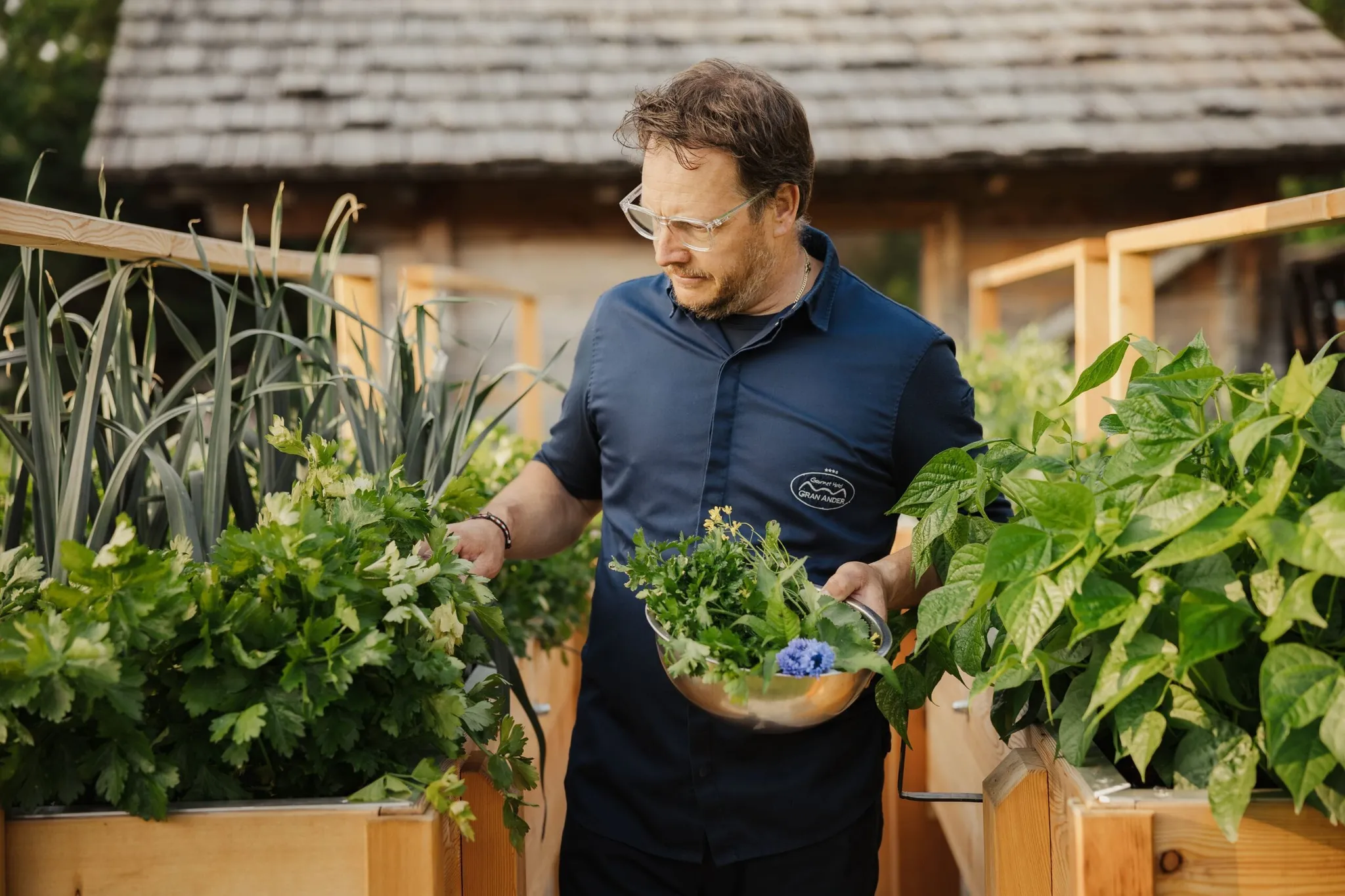 Andrea Irsara holds a bowl of fresh herbs among wooden pots and plants in Alta Badia, Dolomites.